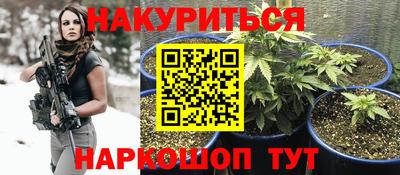дурь Гатчина