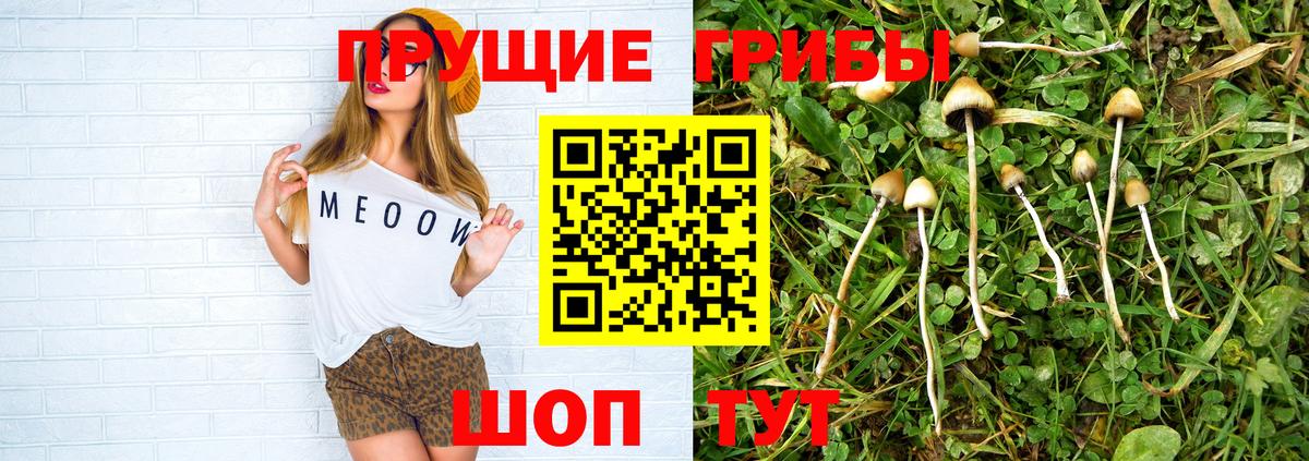 Псилоцибиновые грибы прущие грибы  Вход с VPN  Ноябрьск 