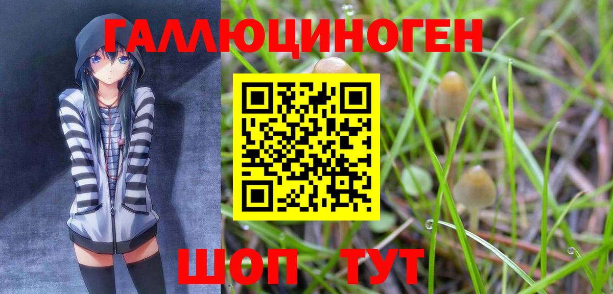 Псилоцибиновые грибы прущие грибы Ноябрьск